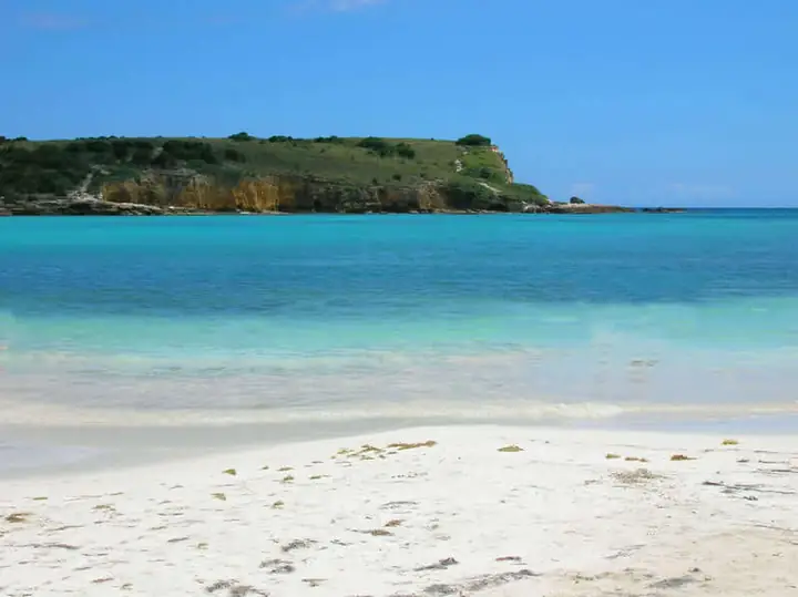 Puerto Rico’s Best Surfing: A Guide to the Island’s Best Waves