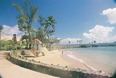 Puerto Rico’s Best Zip-lining and Rappelling: A Guide to the Island’s Adventure Sports