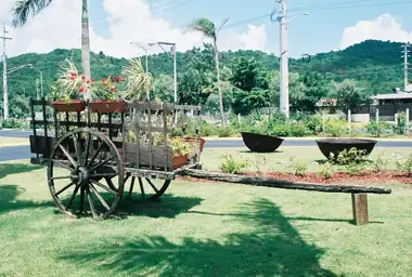 Jardin Botanico Caguas 03