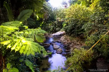Puerto Rico’s Eco-Adventure: Discovering the Island’s Sustainable Tourism