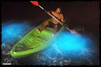 bioluminescent bay vieques1