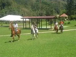 Hacienda Sotomayor en Adjuntas3