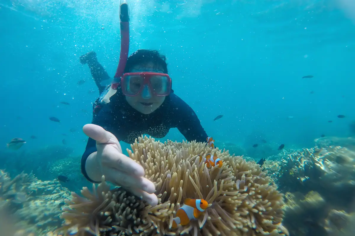 Puerto Rico’s Best Snorkeling and Diving: A Guide to the Island’s Underwater World