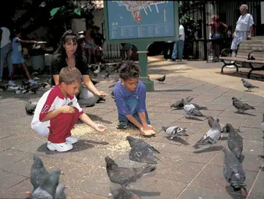 Parque de las Palomas 02