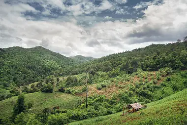 Guajataca Forest 02