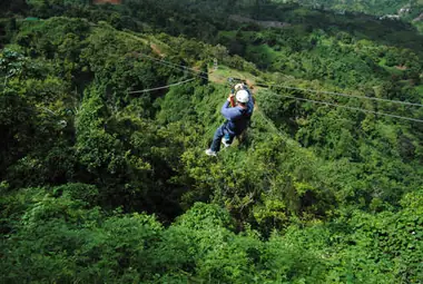 Toro Verde