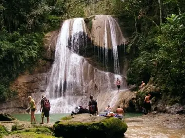 Guajataca Forest 03
