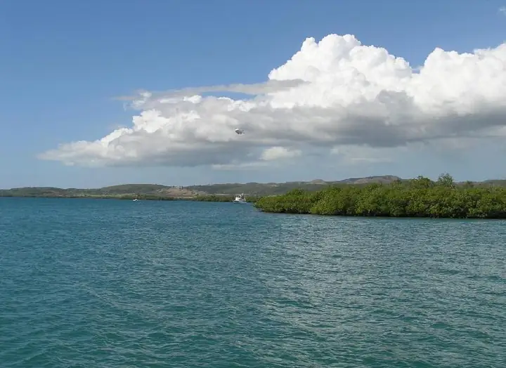 La Parguera 02