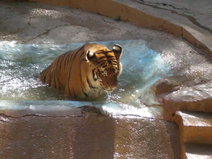 Mayagüez Zoo 03